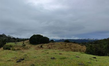 Parcela en Venta en Rauco