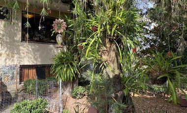 CASA COMERCIAL EN RENTA, SECTOR REMIGIO CRESPO