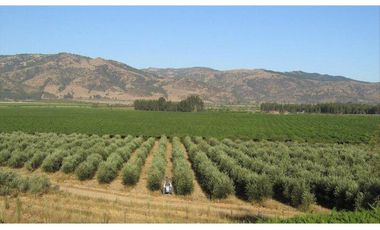 Parcelas en Venta Lolol, Valle de Colchagua