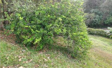 Vendo Finca en Nocaima Cundinamarca