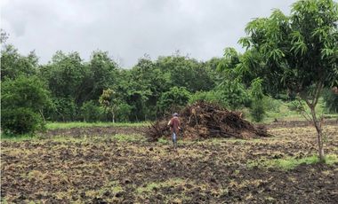 VENDO O PERMUTO FINCA CASA CUIDANDEROS EN  RICAURTE CUNDINAMARCA