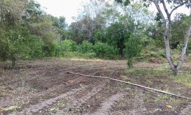 VENDO O PERMUTO FINCA CASA CUIDANDEROS EN  RICAURTE CUNDINAMARCA