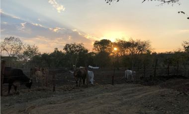 VENDO O PERMUTO FINCA CASA CUIDANDEROS EN  RICAURTE CUNDINAMARCA