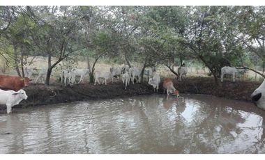 VENDO O PERMUTO FINCA CASA CUIDANDEROS EN  RICAURTE CUNDINAMARCA