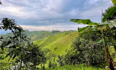 Se Vende Finca De Agroturismo En Filandia Quindio