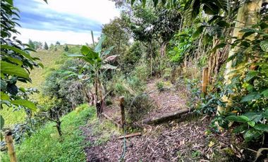 Se Vende Finca De Agroturismo En Filandia Quindio