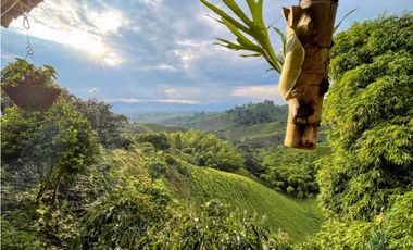 Se Vende Finca De Agroturismo En Filandia Quindio