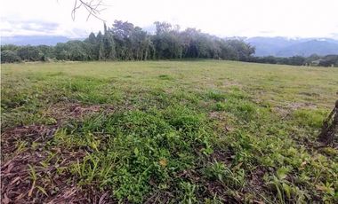 Lote En Venta En La Tebaida-Quindio