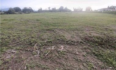 Lote En Venta En La Tebaida-Quindio