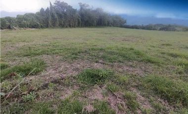 Lote En Venta En La Tebaida-Quindio
