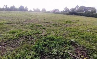 Lote En Venta En La Tebaida-Quindio