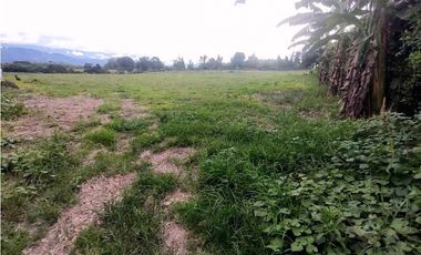 Lote En Venta En La Tebaida-Quindio