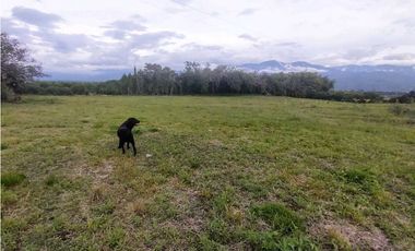Lote En Venta En La Tebaida-Quindio