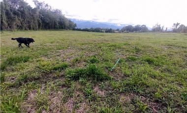 Lote En Venta En La Tebaida-Quindio