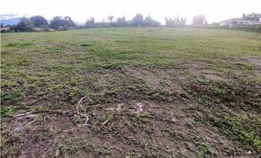 Lote En Venta En La Tebaida-Quindio