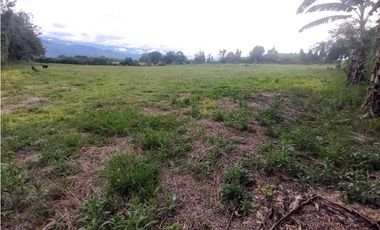 Lote En Venta En La Tebaida-Quindio