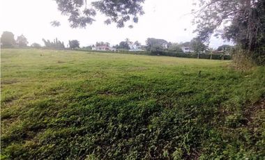 Lote En Venta En La Tebaida-Quindio