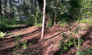 BAJALE AL ESTRES Y COMPRA UN TERRENO O CABAÑA EN ATEMAJAC DE BRIZUELA