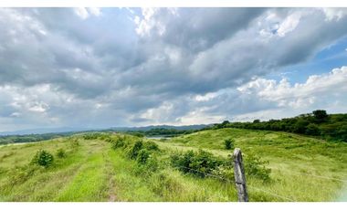 Finca ganadera de 121 hectáreas en venta en Polo Nuevo, Atlántico