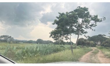Finca ganadera de 121 hectáreas en venta en Polo Nuevo, Atlántico