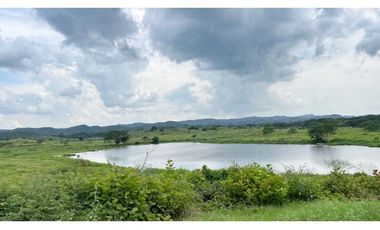 Finca ganadera de 121 hectáreas en venta en Polo Nuevo, Atlántico