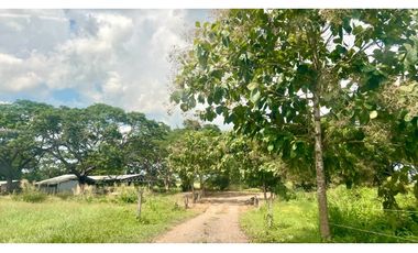 Finca ganadera de 121 hectáreas en venta en Polo Nuevo, Atlántico