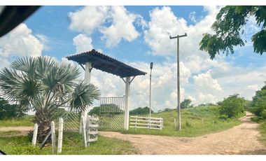 Finca ganadera de 121 hectáreas en venta en Polo Nuevo, Atlántico