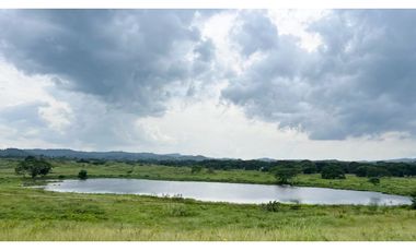 Finca ganadera de 121 hectáreas en venta en Polo Nuevo, Atlántico