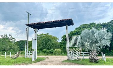 Finca ganadera de 121 hectáreas en venta en Polo Nuevo, Atlántico