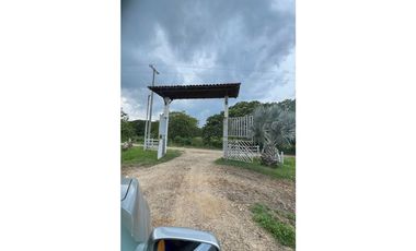 Finca ganadera de 121 hectáreas en venta en Polo Nuevo, Atlántico