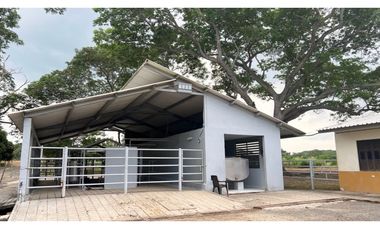 Finca ganadera de 121 hectáreas en venta en Polo Nuevo, Atlántico