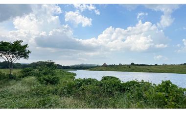 Finca ganadera de 121 hectáreas en venta en Polo Nuevo, Atlántico