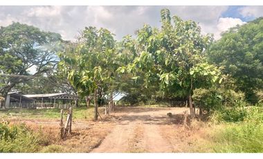 Finca ganadera de 121 hectáreas en venta en Polo Nuevo, Atlántico