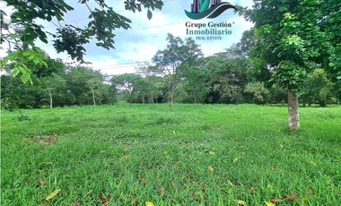 VENTA DE TERRENO DE 9,000 M2 DAVID