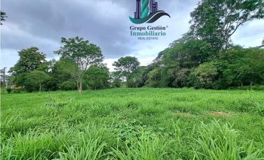 VENTA DE TERRENO DE 9,000 M2 DAVID