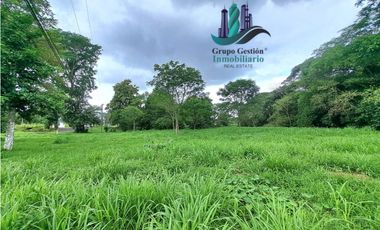 VENTA DE TERRENO DE 9,000 M2 DAVID