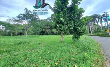 VENTA DE TERRENO DE 9,000 M2 DAVID