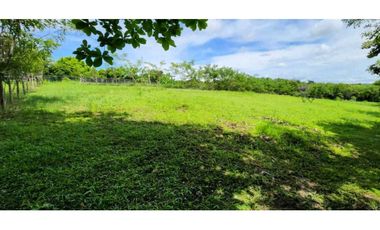 VENTA LOTE  CÉNTRICO 2000mt2, PENONOMÉ ORTIGA