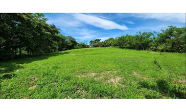 VENTA LOTE  CÉNTRICO 2000mt2, PENONOMÉ ORTIGA
