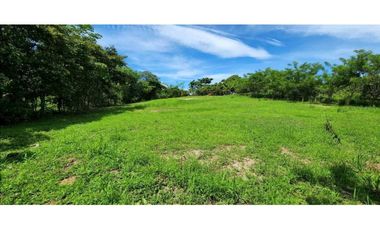 VENTA LOTE  CÉNTRICO 2000mt2, PENONOMÉ ORTIGA
