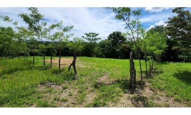 VENTA LOTE  CÉNTRICO 2000mt2, PENONOMÉ ORTIGA