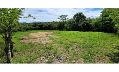 VENTA LOTE  CÉNTRICO 2000mt2, PENONOMÉ ORTIGA