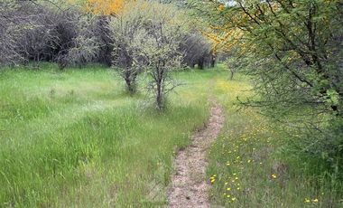 Parcela en Venta en Sector Angostura, San Javier
