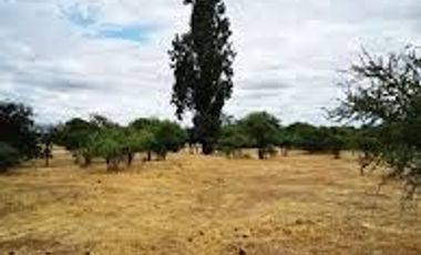 Terreno en venta en Linares, San Javier de Loncomilla - Sin amueblar