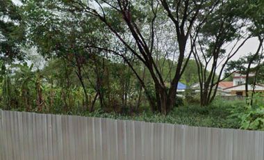 Land for sale in Tha Sala, Chiang Mai