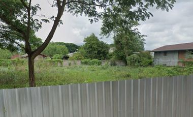 Land for sale in Tha Sala, Chiang Mai