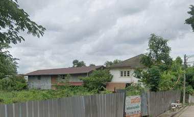 Land for sale in Tha Sala, Chiang Mai