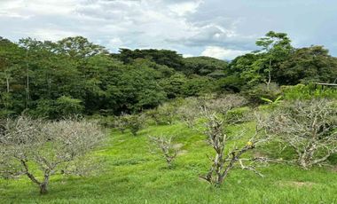 CASA CAMPESTRE EN VENTA EN LA VIRGINIA/RISARALDA