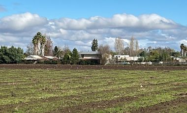 NANCAGUA