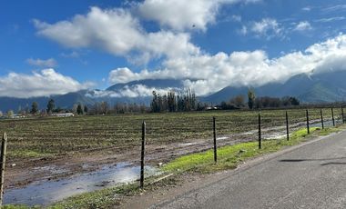 NANCAGUA